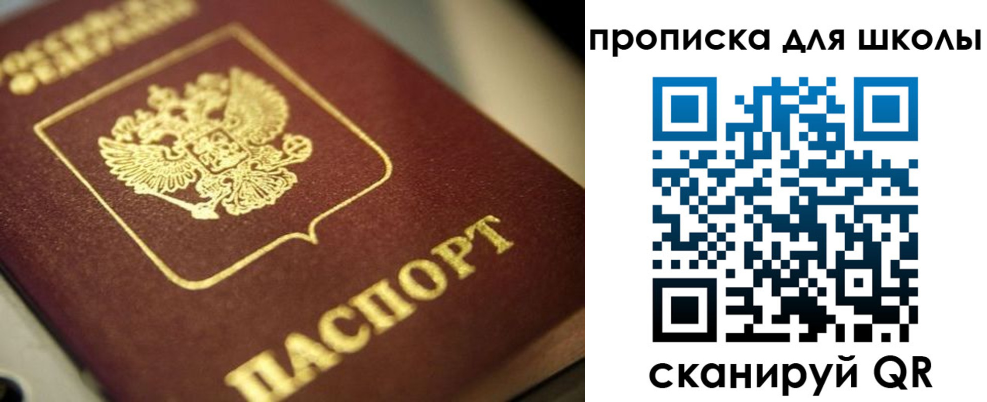 временная регистрация гарантия в Калининграде